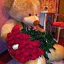 ���� Bilol, ������, 28 ��� - ��������� 11 ������� 2019 � ������ ���� ����������