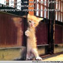 ���� �����, ������������, 55 ��� - ��������� 17 ������ 2019 � ������ ���� ����������