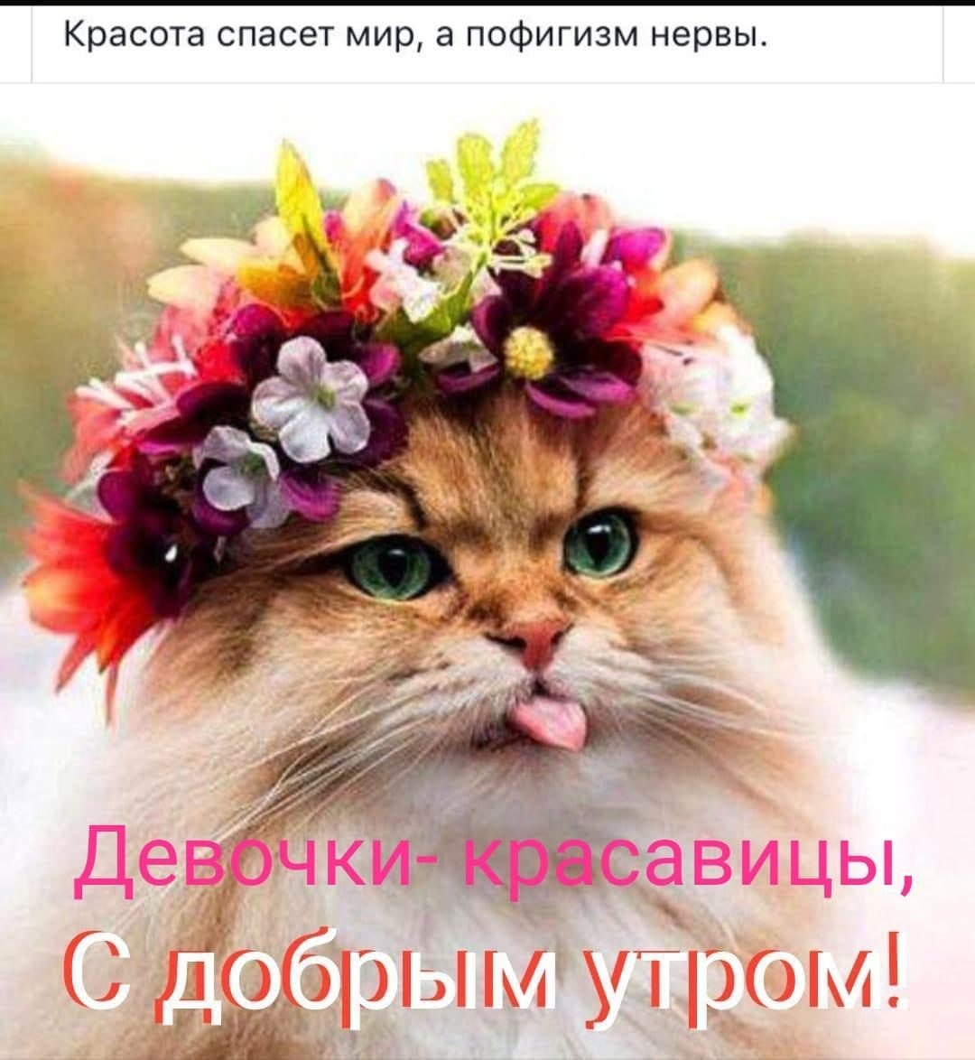***Victoria Viktorovna*** - 20  2019  07:48