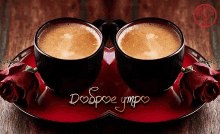 ���� Toha, ������, 38 ��� - ��������� 6 ���� 2019