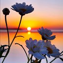 ���� �������@, �������� - ��������� 4 ������� 2019 � ������ ������ ��������