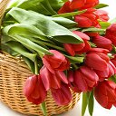 ���� Eva, ������������, 57 ��� - ��������� 21 �������� 2019 � ������ ���� ����������