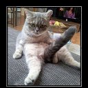 ���� ���������, ���� - ��������� 13 ������ 2019 � ������ ������ ��������