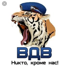 ���� �������, ����������� - ��������� 28 ���� 2019