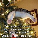 ���� ���������, ������ - ��������� 23 ������� 2019 � ������ ���� ����������