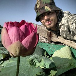 ������, ���������, 33 ����