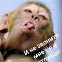 ���� D, ������������, 42 ���� - ��������� 19 ���� 2019 � ������ ������ ��������