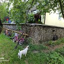 ������ ����������� �� ������� ���� ����������