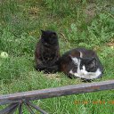 ���� ����, �����-��������� - ��������� 31 ���� 2019 � ������ ���������� ����!�