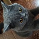 ���� �������, ����������, 44 ���� - ��������� 21 ������� 2019 � ������ ���� ����������