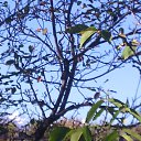 ���� Alex, �������, 55 ��� - ��������� 15 ������� 2019 � ������ ������ ��������