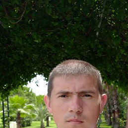 �����, ������, 41 ���