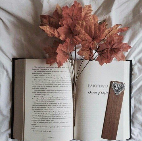 10 книг, которые нужно читать, когда тебе плохо.1. Джейн Остин