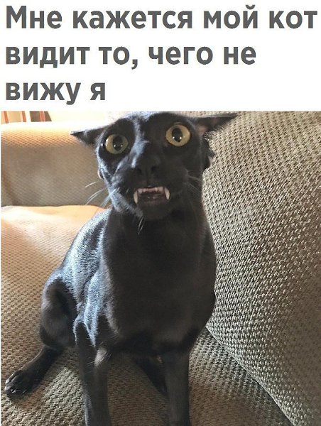  - 19  2019  03:35