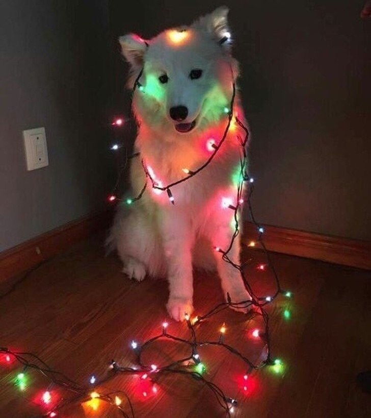    ,    ))))) - 5