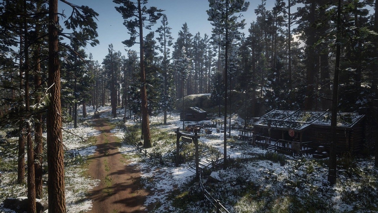       Red Dead Redemption 2     .  ... - 4