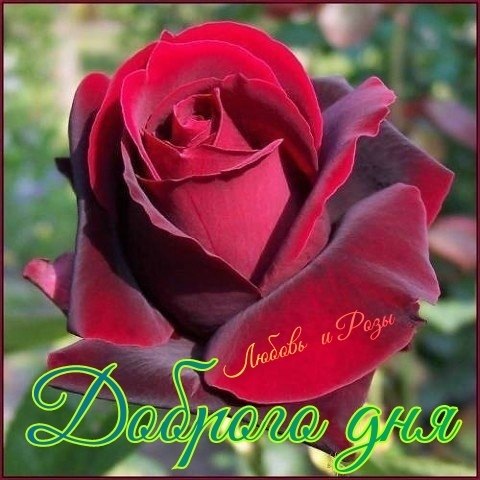   ,    . - 29  2019  22:49