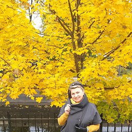 ����, ������, 67 ���