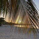 ���� �������, ������, 53 ���� - ��������� 18 ��� 2019 � ������ ���� ����������