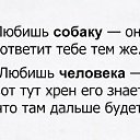 ���� ���������, ����� - ��������� 25 ��� 2019 � ������ ������ ����ջ