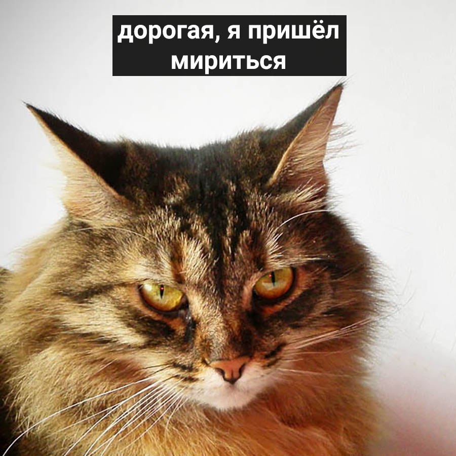  - 14  2019  19:12