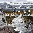 ���� �����, ������� - ��������� 12 ���� 2019 � ������ ���� ����������
