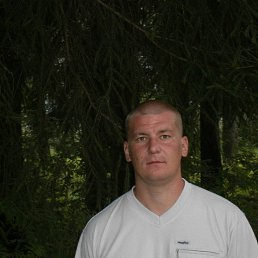 ���� ����, ��������, 45 ��� - ��������� 24 ������� 2019