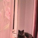 ���� �����, ��������, 56 ��� - ��������� 10 ������� 2019 � ������ �Topface�