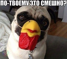 Art & Fun - 8  2019  03:37