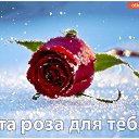 ���� Rom, ������ - ��������� 5 ��� 2019