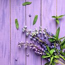 ���� ���, ������� - ��������� 7 ���� 2019 � ������ ���� ����������