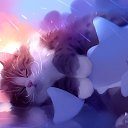 ���� ���� ���, �����-��������� - ��������� 29 ������ 2019 � ������ ������ ��������