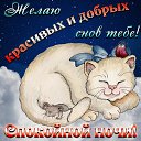 ���� �����, ������������ - ��������� 9 ���� 2019 � ������ ���� ����������