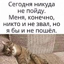 ���� �������, ����������� - ��������� 8 ������� 2019 � ������ ���� ����������