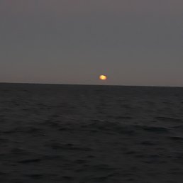 ��� ����, ����