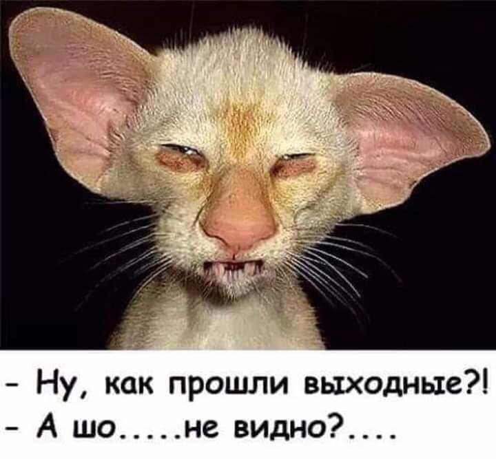   - 3  2019  15:30