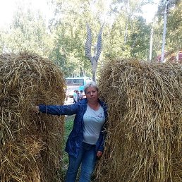 ���������, �����