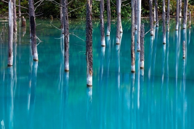    (Blue Pond Biei)    ,    ... - 8