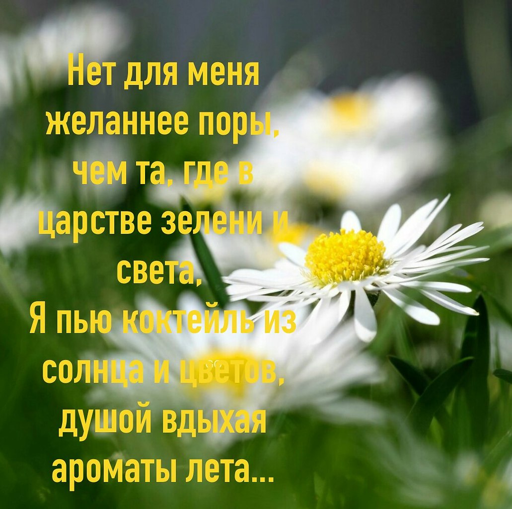 ПРИВЕТСТВИЯ и ПОЖЕЛАНИЯ, открытки на каждый день. опубликовал пост от 14  июля 2019 в 17:20 | Фотострана | Пост №1979975848