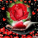 ���� ���������, ������������, 68 ��� - ��������� 30 ������� 2019 � ������ ������ ��������