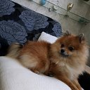 ���� �����, ������ - ��������� 8 ������ 2019 � ������ ���� ����������