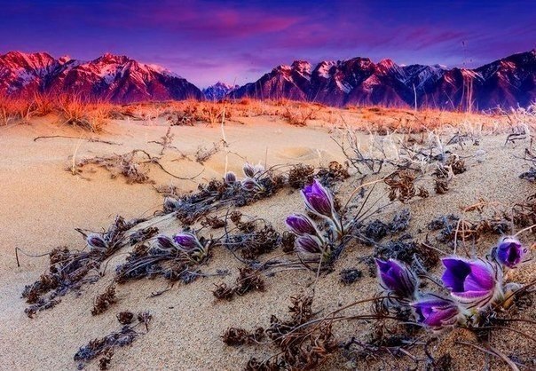 ������ ������� ������ | ����������� - 27 ���� 2019 � 03:40