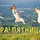 ���� �����, ������, 56 ��� - ��������� 22 ������ 2019 � ������ ������ ��������