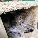 ���� �����, ������� - ��������� 18 ���� 2019 � ������ ���� ����������