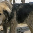  ,  -  5  2019      2019