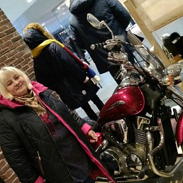 ����, �����������