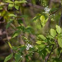 ���� ������, �����, 61 ��� - ��������� 27 ������ 2019 � ������ ����� ���������