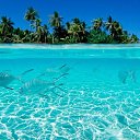 ���� �����, �����������, 43 ���� - ��������� 9 ���� 2019 � ������ �� )�