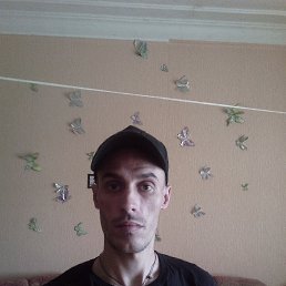 ������, ���������, 40 ���