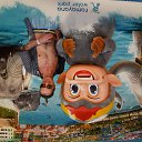 ���� ������, �������������, 52 ���� - ��������� 28 ������� 2019 � ������ ���� ����������